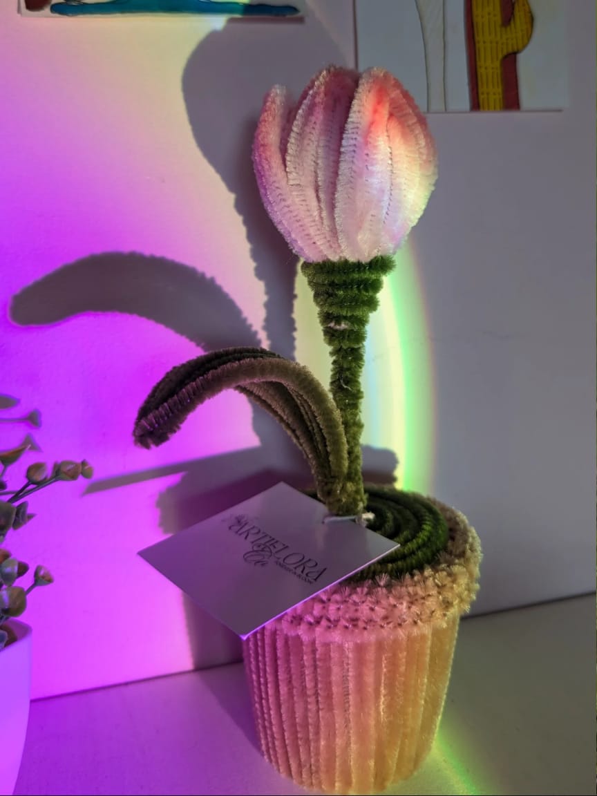 Product 17